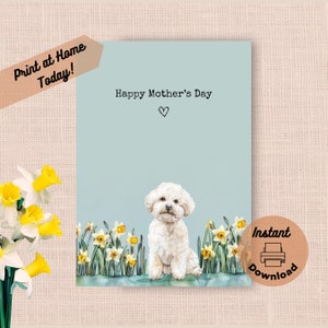 Tarjeta imprimible para el Día de la Madre con un Bichón Frisé. Descarga instantánea. Imprime en casa. Regalo de narcisos amarillos para mamá. Flores de primavera en acuarela.