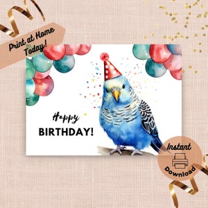 Carte d'anniversaire imprimable perruche, téléchargement immédiat, carte à imprimer à la maison, cadeau perruche bleue, oiseau de compagnie, illustration d'art aquarelle perruche