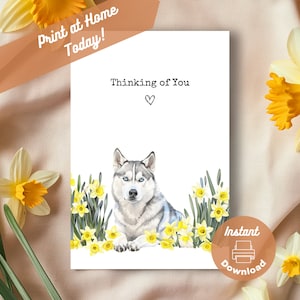 Carte imprimable Husky pensant à vous, téléchargement immédiat, impression à la maison, cadeau jonquilles jaunes, cadeau aquarelle fleurs husky sibérien