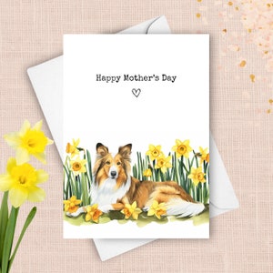 Biglietto d'auguri per la festa della mamma con il cane Collie, auguri per la festa della mamma dal cane Collie a pelo ruvido, narcisi gialli come regalo per la mamma, acquerello primaverile