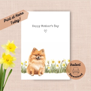 Tarjeta imprimible para el Día de la Madre de Pomerania, descarga instantánea, imprime en casa, regalo de narcisos amarillos para mamá, Pomerania, perro mascota, regalo de acuarela