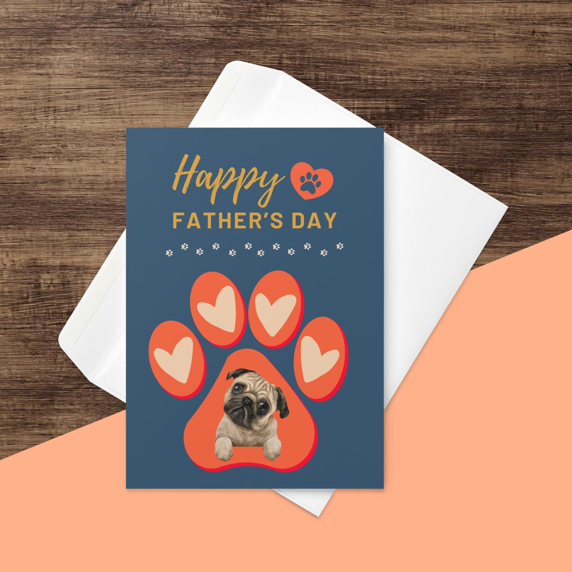 Ropa reflectante de moda para mascotas, abrigo colorido y fresco, chaqueta  reflectante impermeable para perros y gatos, perros pequeños, medianos y  grandes - AliExpress, image size:2000x2000