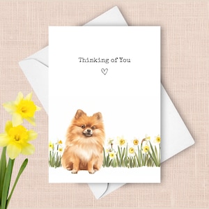 Carte de Poméranie pensant à vous, chien de compagnie envoyant des voeux d'amour, cadeau de sympathie jonquilles jaunes, cadeau aquarelle de fleurs de printemps