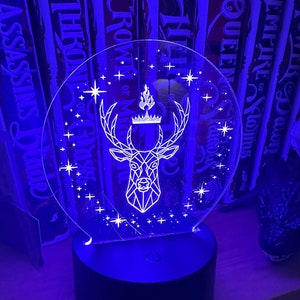 Throne of Glass Aelin inspired  LED Acrylic Light