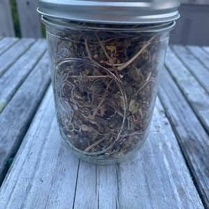 Dehydrated Henbit in a Mason Jar
