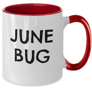 Insect collector mug, bug collector coffee cup, gift idea for entomologist, june bug mug