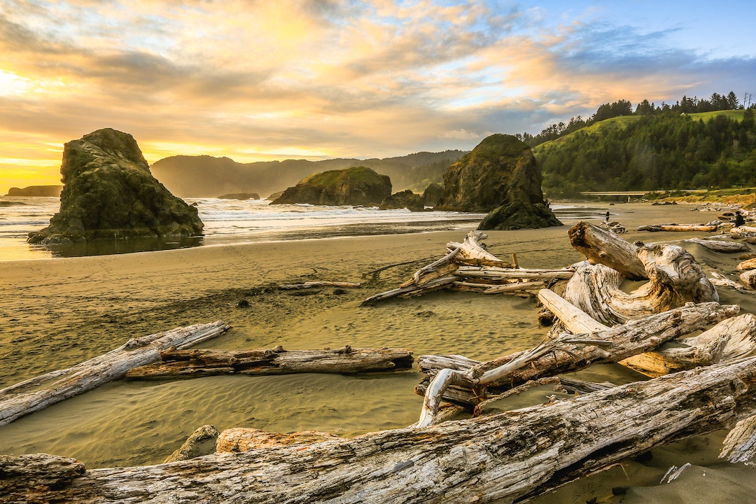 Oregon Coast Sunset Myers Creek Beach Sea Stacks Log Debris Canvas