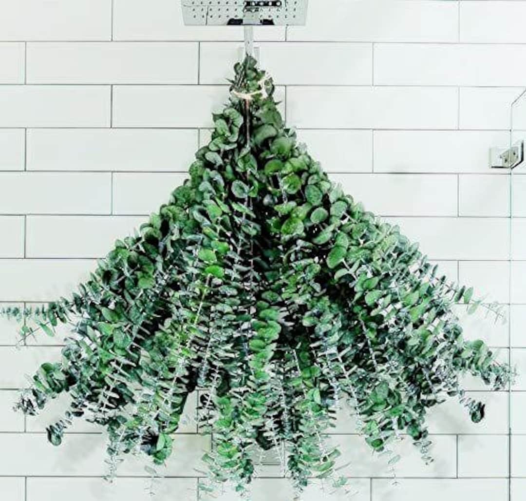 Fresh Cut Eucalyptus Shower Bundle, Fresh Eucalyptus Bundle, Boho Decor