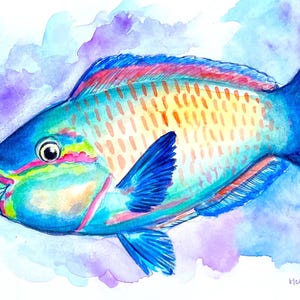 Kugelkopf-Papageifisch (Uhu) Aquarell Rifffisch Grußkarte