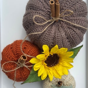 May include: Three crocheted pumpkins in brown, orange, and cream colors. Each pumpkin features a cinnamon stick stem tied with thin twine. A bright yellow sunflower with green leaves is positioned between the pumpkins.