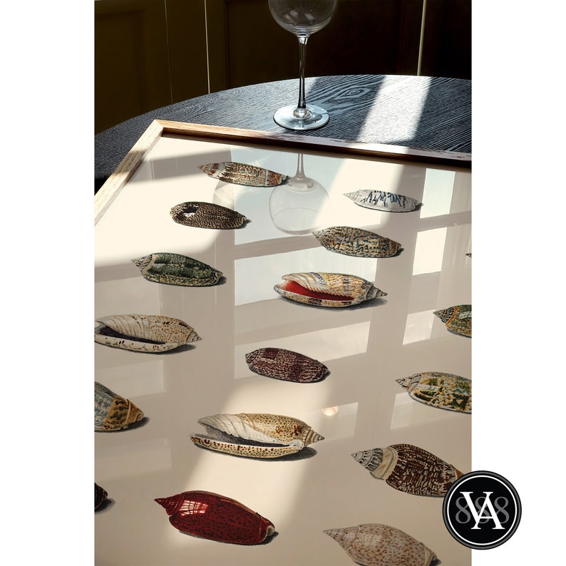 Vintage Hoch Shell Triptych Gallery Art Set Coastal Beach Art Set of ...