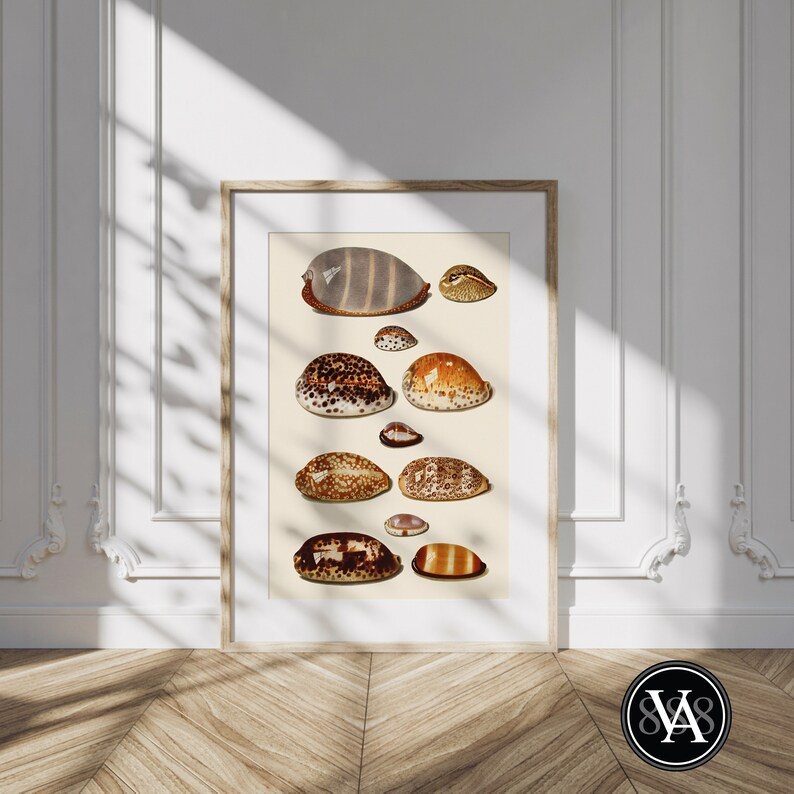 Vintage Hoch Shell Triptych Gallery Art Set Coastal Beach - Etsy