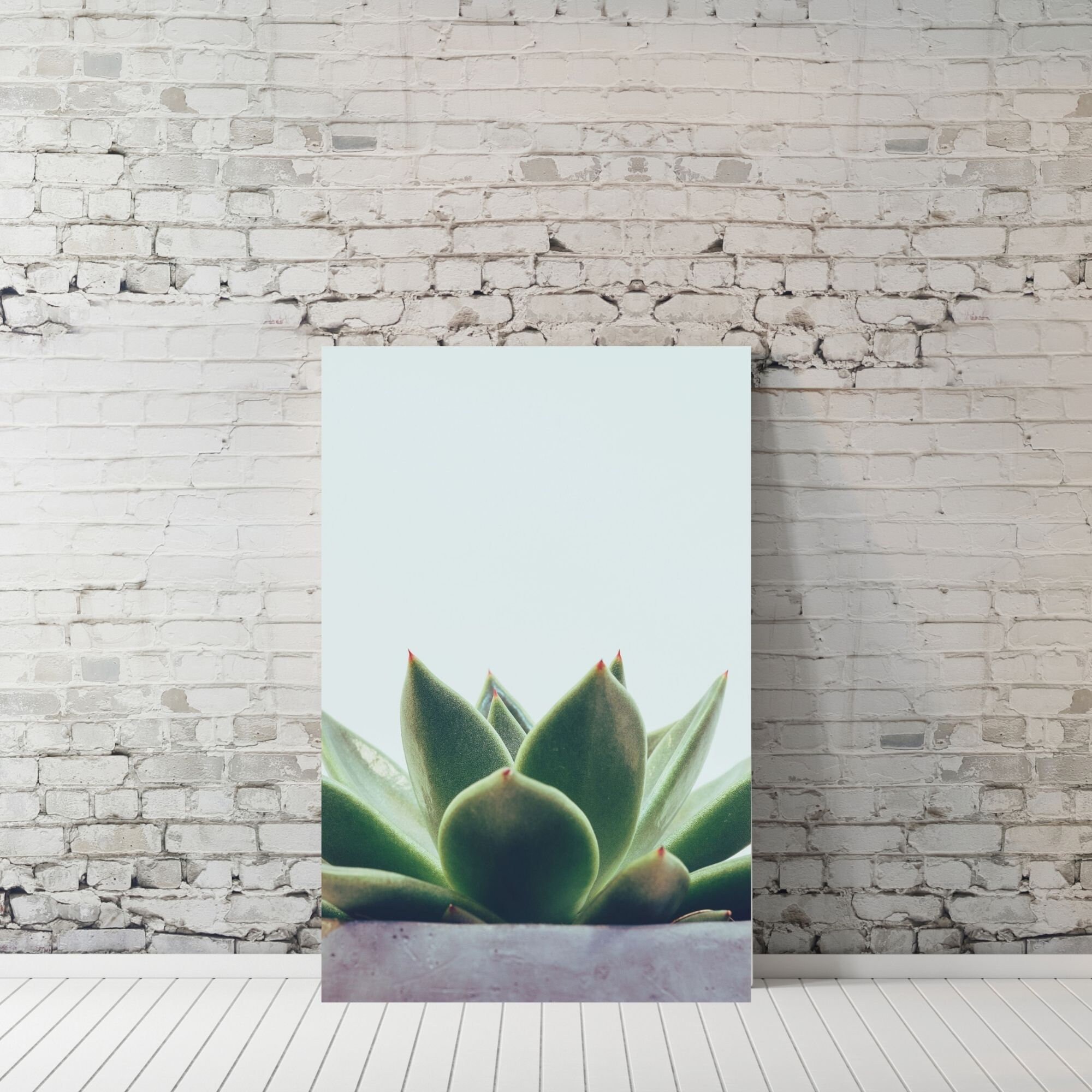 Succulent Flower Wall Printable Decor Gift Nature Wall Art - Etsy