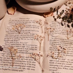 May include: A close-up of an open book with a white flower pressed inside. The book is open to a page with text about a spider named Charlotte. The text reads, "Charlotte's Web" and "Sort of," replied Charlotte. "But do you know how long it took men to build it? Eight whole years. My goodness...starved to death waiting that single evening."