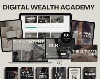 3 maandelijks betalingsplan DWA - Digital Wealth Academy-bundel met Master Resell-rechten | Digitaal product, gezichtsloze digitale marketing | MRR PLR