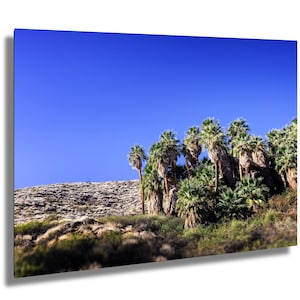 Palm Springs Indian Schluchten Oase, Palmen, Lebendige Natur, Leinwand Druck Metall Kunst Schlafzimmer Wohnzimmer Wand Kunst Dekor Haus Geschäft