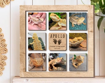 Puede incluir: Un marco de fotos de madera con nueve fotos de un lagarto barbudo. El marco tiene un fondo de madera marrón y un borde marrón claro. La foto del centro tiene una huella de pata y el texto "APOLLO Forever in my heart 2021-2023".