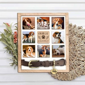 Personalized Pet Memorial Collar Sign, Dog Memorial Frame With Collar Holder, Pet Memorial Gift, Loss Of Dog Sympathy Gift, Gift For Pet