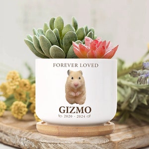 May include: White ceramic planter with a brown inscription that reads "Forever Loved" and a picture of a hamster. The inscription below the hamster reads "Gizmo 2020-2024". The planter is sitting on a wooden base and has a small succulent plant inside.