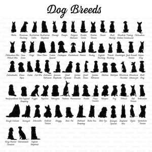 Może przedstawiać: Czarno-białe sylwetki r&oacute;żnych ras ps&oacute;w, ułożone w rzędach. Tytuł "Dog Breeds" znajduje się u g&oacute;ry obrazu.