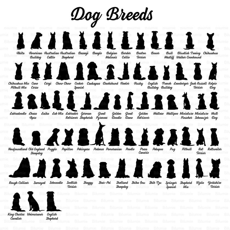 Może przedstawiać: Czarno-białe sylwetki r&oacute;żnych ras ps&oacute;w, ułożone w rzędach. Tytuł "Dog Breeds" znajduje się u g&oacute;ry obrazu.