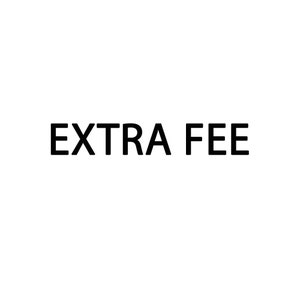 Extra Shipping Fee