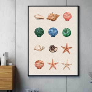 Könnte beinhalten: Ein gerahmter Wandkunstdruck mit einem Raster aus zwölf Illustrationen von Muscheln und Seesternen auf einem strukturierten beigen Hintergrund. Die Sammlung umfasst verschiedene Arten in Orange-, Grün-, Blau- und Brauntönen, angeordnet in vier Reihen.