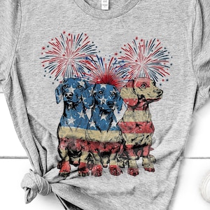 Funny Dachshund Firework Png, Dachshund Fourth Of July Png, Dog American Flag Png, Patriotic USA Dachshund PNG, Independence Day Png