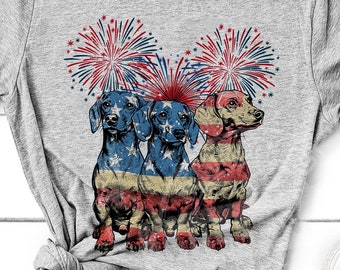 Funny Dachshund Firework Png, Dachshund Fourth Of July Png, Dog American Flag Png, Patriotic USA Dachshund PNG, Independence Day Png