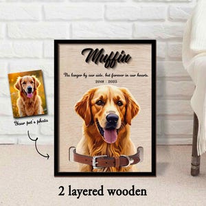Customized Memorial Pet Collar Sign, Personalize Dog Memorial Wood Frame With Collar Holder, Pet Sympathy Gift, Pet Lover Gift