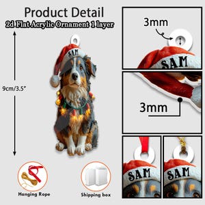 May include: A 2D flat acrylic ornament featuring a dog wearing a Santa hat with the name "SAM". The ornament is 3.5 inches (9 cm) tall and has a hanging loop. It is decorated with a string of lights, and comes with a hanging rope and a shipping box.