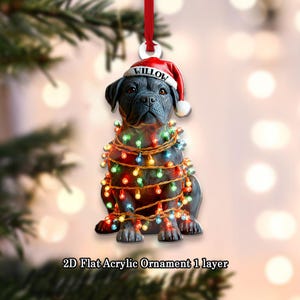 May include: A black dog Christmas ornament wearing a Santa hat with the name "Willow" and wrapped in colorful Christmas lights. The ornament is hanging from a red ribbon. The text "2D Flat Acrylic Ornament 1 layer" is at the bottom.
