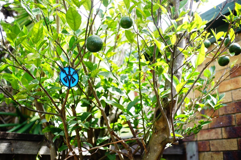May include: A vibrant image of a citrus tree laden with green fruit and lush green leaves. A blue and black pendant hangs from a branch. The tree is set against a backdrop of a brick wall and other greenery.