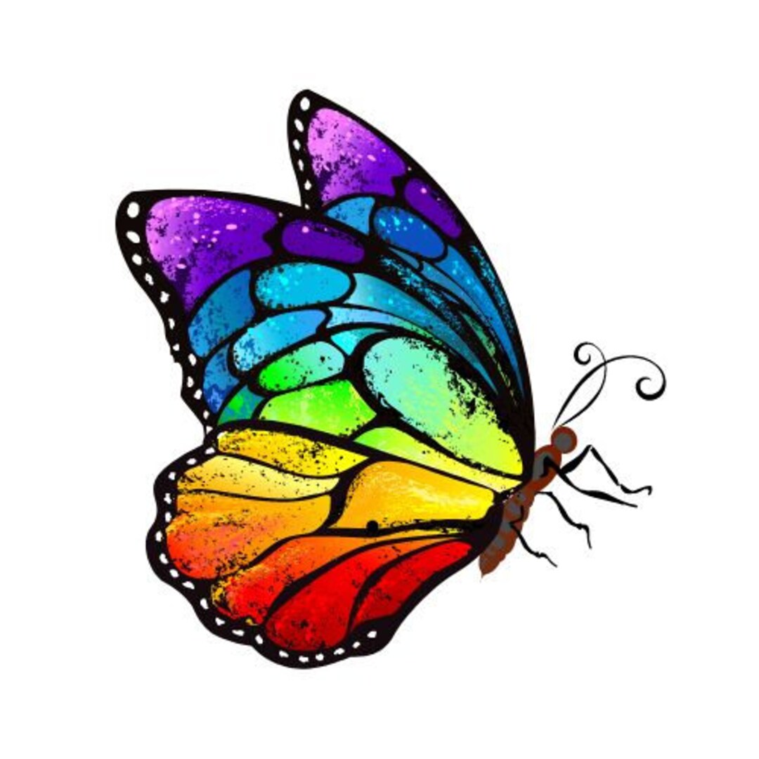 Butterfly Rainbow, Butterfly SVG, Includes Digital Downloadable SVG