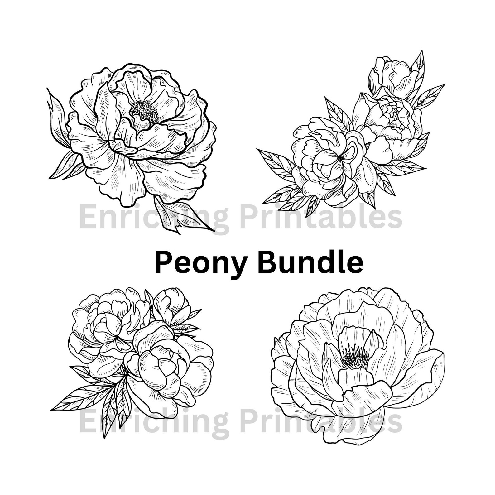 Peony Svg Bundle, Peony Svg, Peony Png, Peonies Flowers Svg, Peony