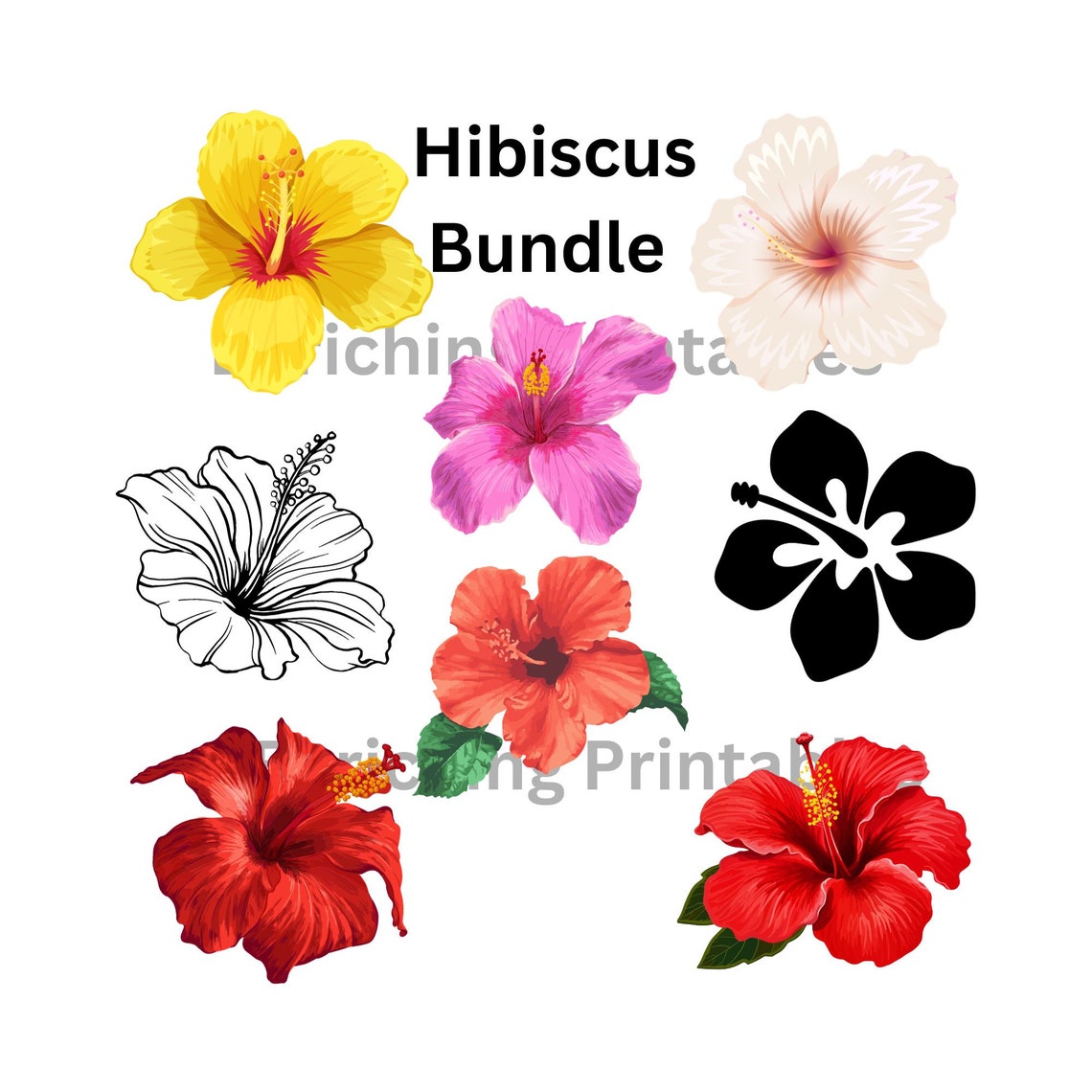 Hibiscus Svg Hibiscus Png Hawaiian Flower Svg Hawaiian - Etsy