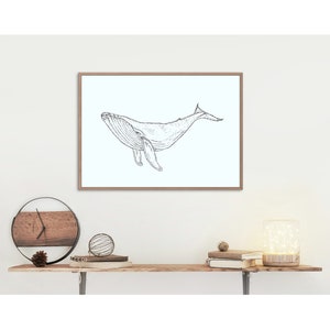 Whale Art Print