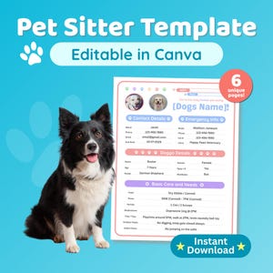 Peut inclure: Un modèle de garde d'animaux avec un chien noir et blanc sur fond bleu. Le modèle comprend des sections pour les coordonnées, les informations d'urgence et les instructions de soins pour chiens. Le texte comprend "Pet Sitter Template" et "Editable in Canva."