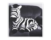 Zebra Wall Art Poster Funny Animal Safari Love Poster