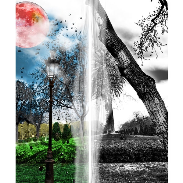 Parallel universe Dual Photography, Two Sides Wall Art, Dichotomy Artwork, Split Art, Two Sides Poster, Light Versus Dark