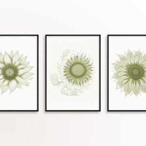 Sunflower 3 Piece Wall Art, Sage Green Printable Wall Art, Botanical Print, Mothers Day Gift, Minimalist House Warming Gift, Apartment Decor