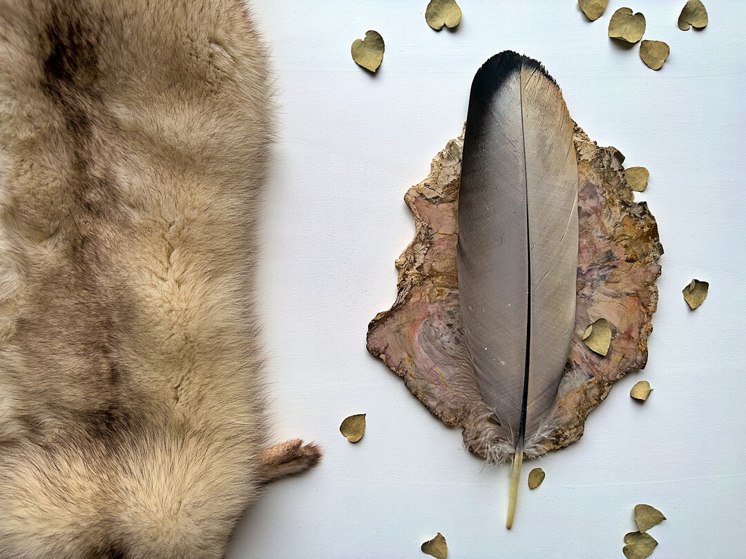 Large Aquila Condor Feathers Ethical Origin Shamanic Fan Etsy