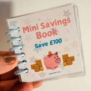 May include: A small blue and white spiral bound book with a pink piggy bank and gold coins. The cover says "Mini Savings Book Save £100" and "Budget With Tarryn".