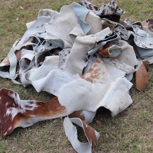 Koeienhuidresten, 1 kg zak runderleerschroot, haar op huiden afgesneden stukken voor kunstnijverheid, 8''-10'' bij 4''-6'', gemengd van kleur