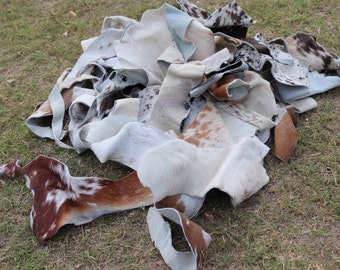 Cowhide Scraps, 1 Kg Bag of Cowhide Scrap Material, Hair On Hide Offcut Pieces for Arts and Crafts, 8''-10'' by 4''-6'' Size, Mixed in Color