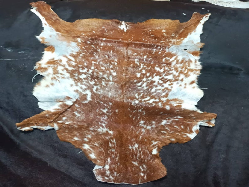 May include: A brown and white cowhide rug with a spotted pattern. The hide is laid flat on a black surface.