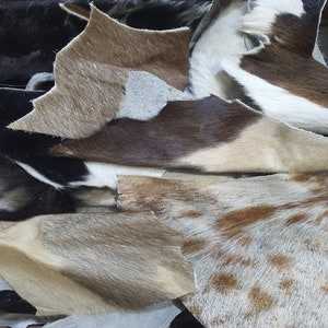 1 Kg Free Cowhide Scrape - Cowhide upholstery projects material - Hair on hides