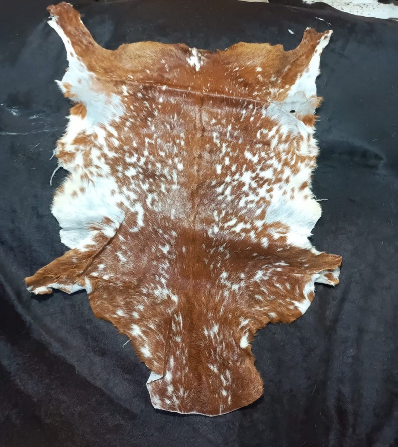 May include: A brown and white spotted cowhide rug. The hide is laid flat on a black surface.