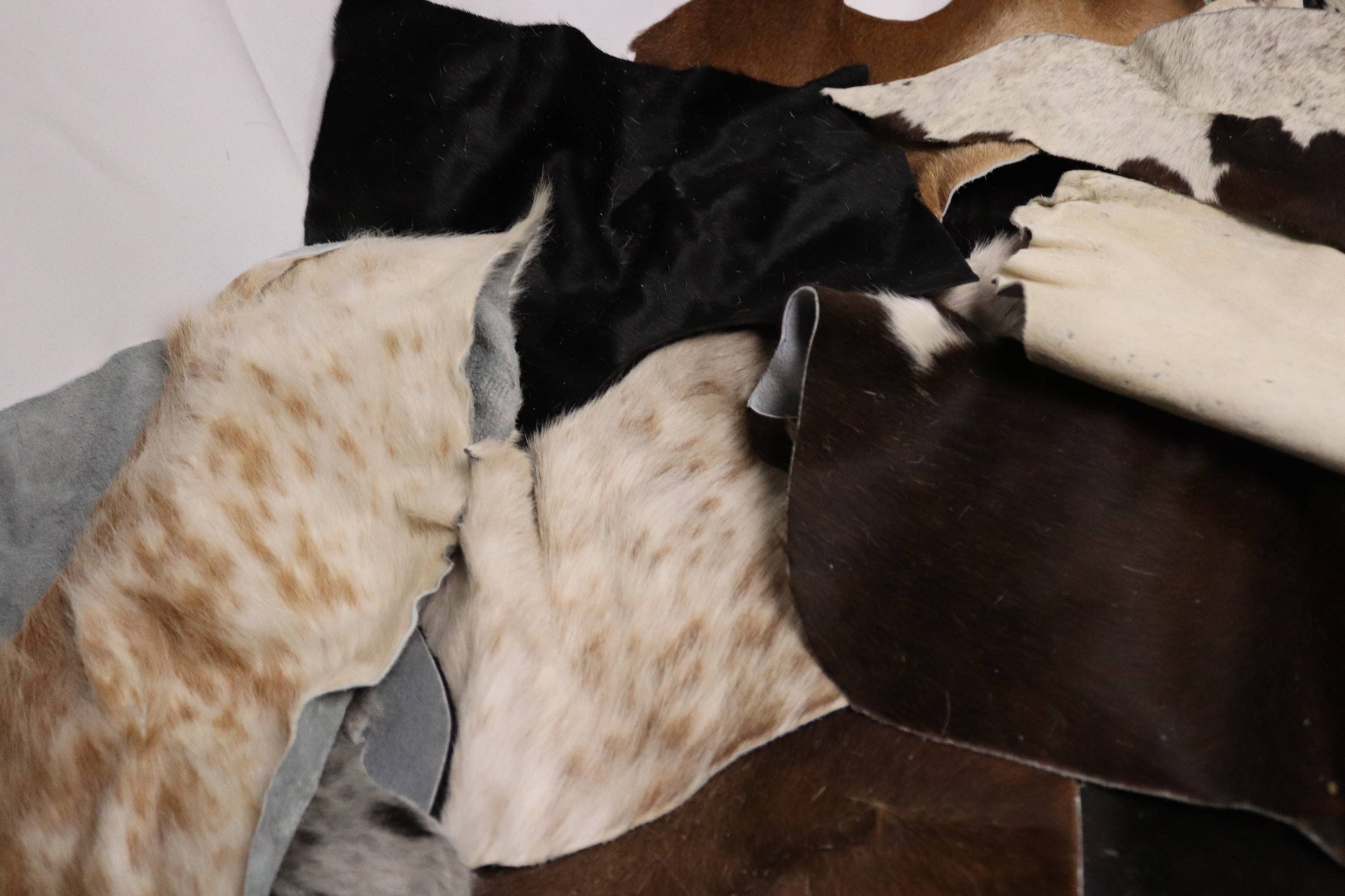 Cowhide Scraps - Cow Hide Material Offcuts - Cowhide Pieces for Arts ...