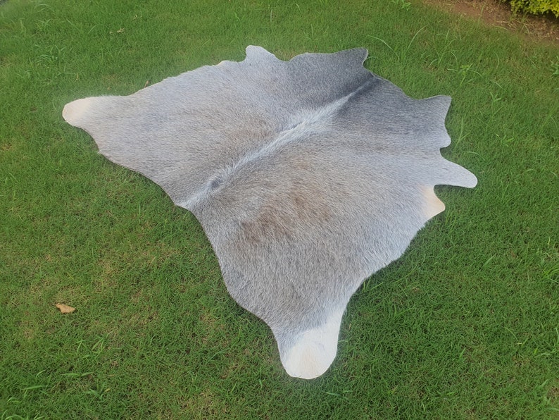 Grey Cowhide Rug See Before Dispatch Gray White Cowhide Etsy